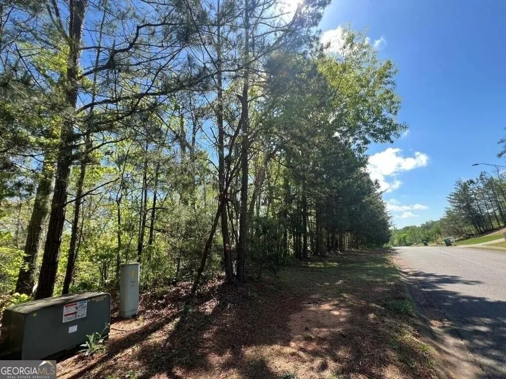 922 Whistler LN Canton, GA 30114