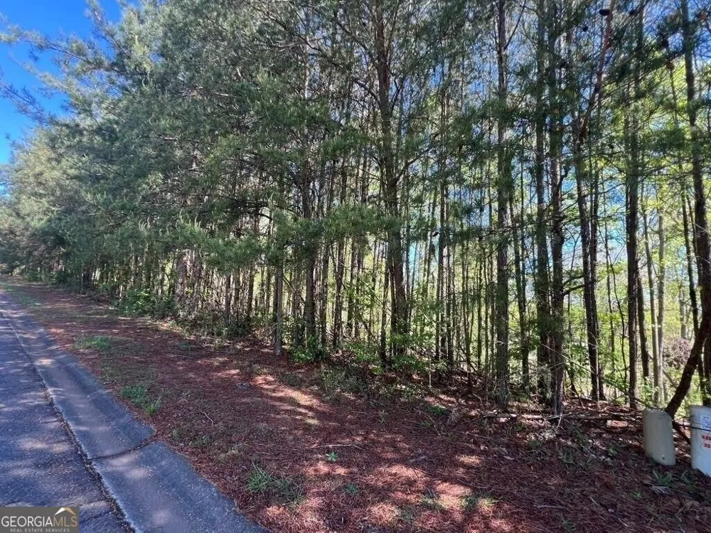 922 Whistler LN Canton, GA 30114