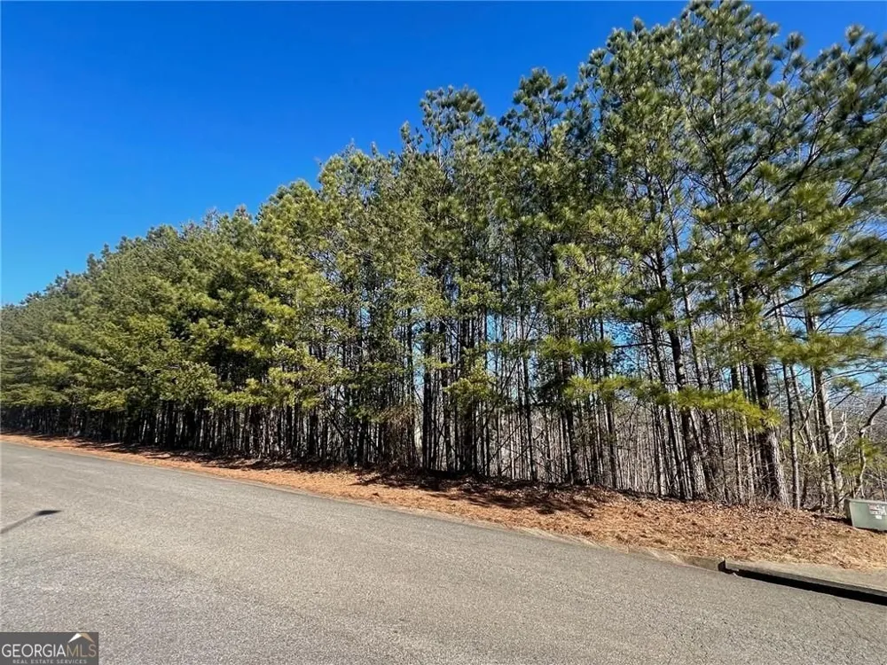 920 Whistler LN Canton, GA 30114