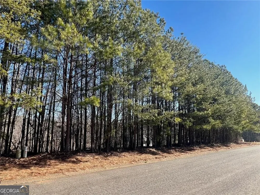 920 Whistler LN Canton, GA 30114