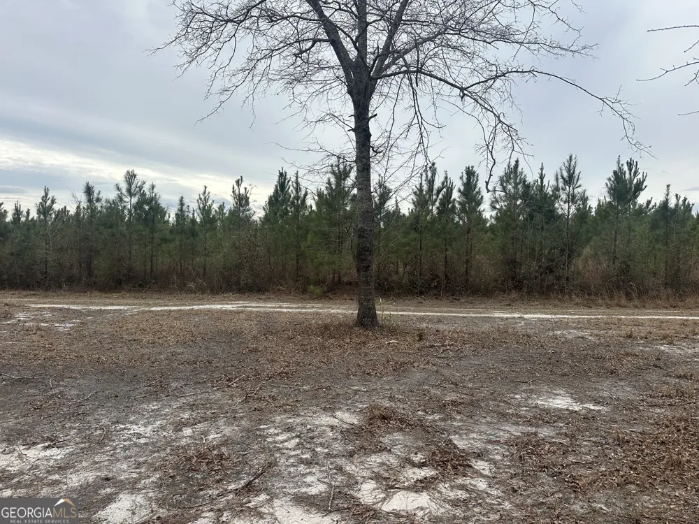 160 Landing RD Sylvania, GA 30467