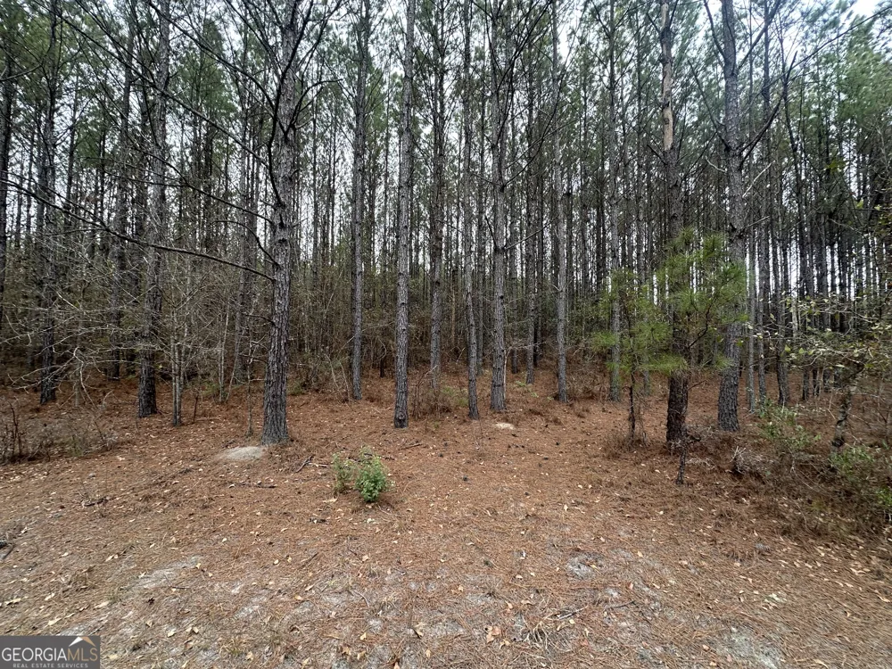 160 Landing RD Sylvania, GA 30467