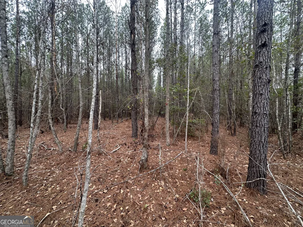 160 Landing RD Sylvania, GA 30467