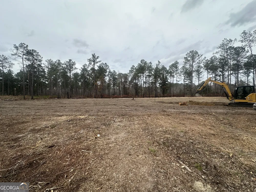 160 Landing RD Sylvania, GA 30467