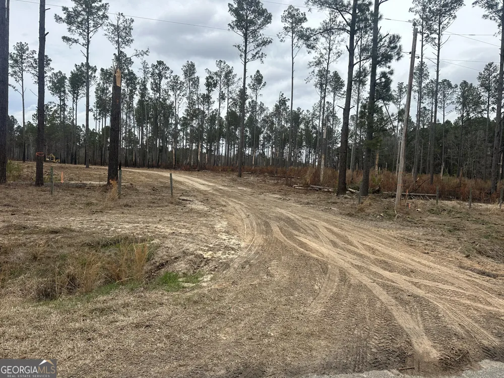 160 Landing RD Sylvania, GA 30467