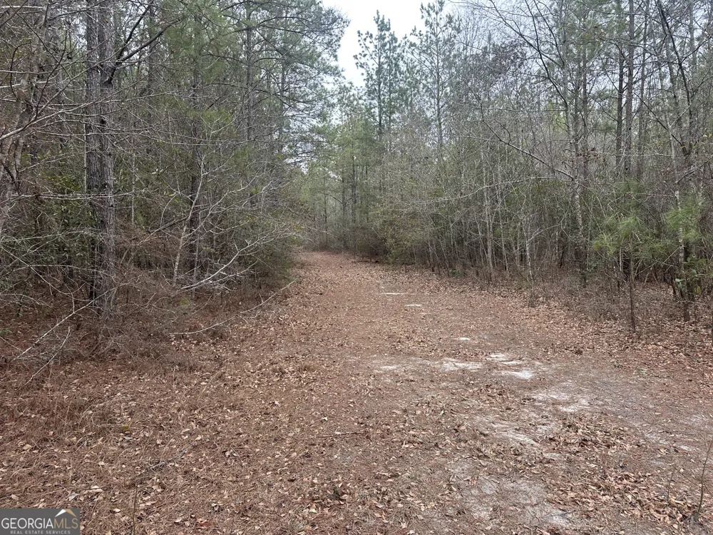 160 Landing RD Sylvania, GA 30467