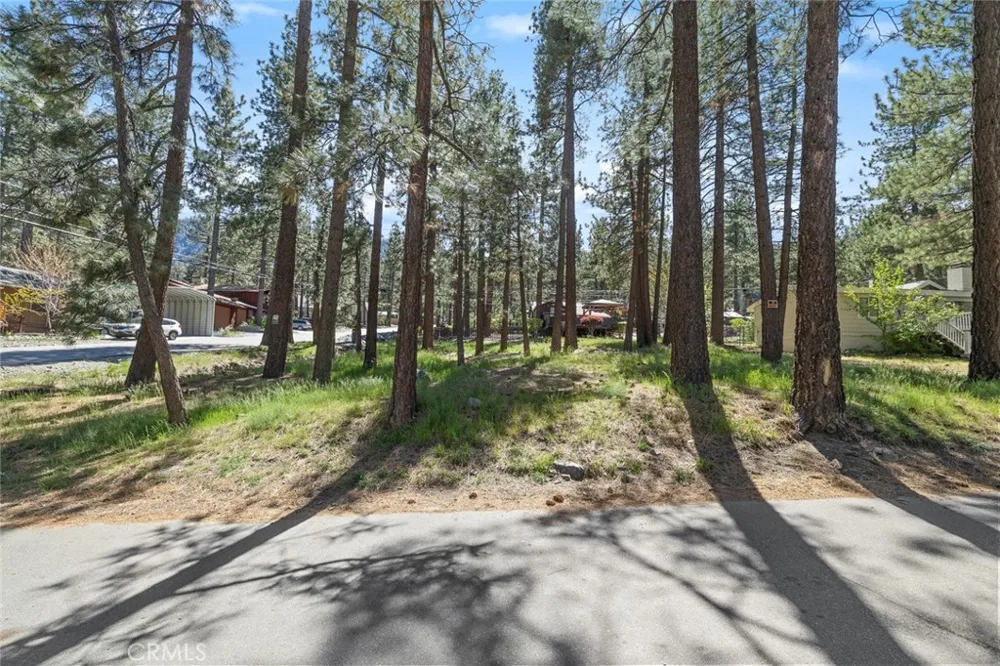 1179 Edna Wrightwood, CA 92397