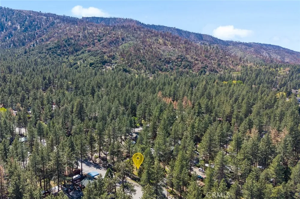 1179 Edna Wrightwood, CA 92397