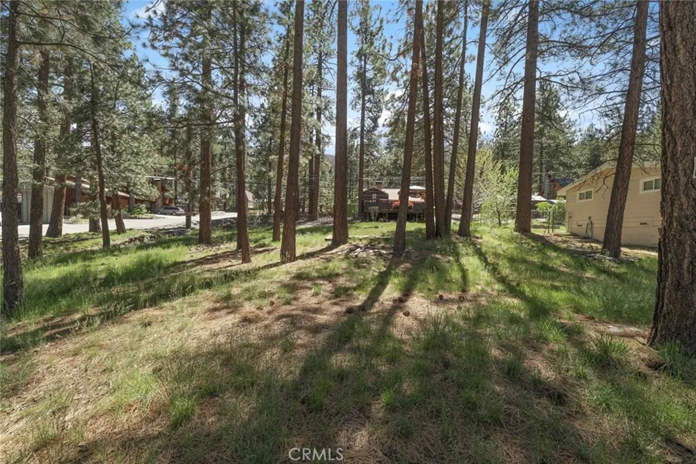 1179 Edna Wrightwood, CA 92397