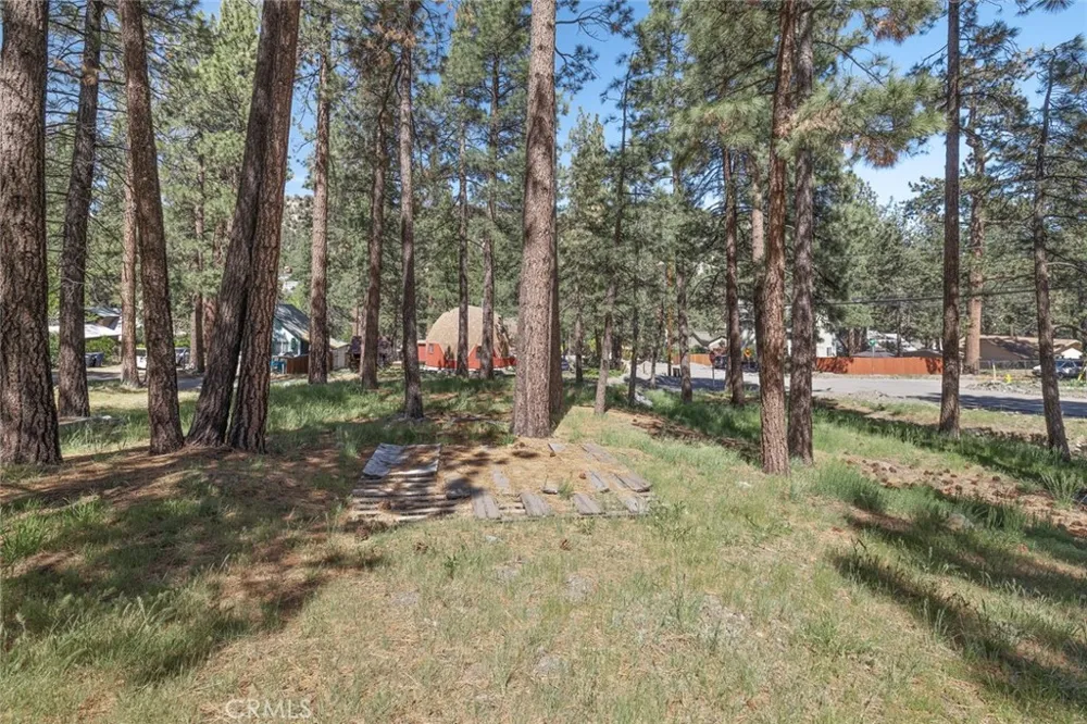 1179 Edna Wrightwood, CA 92397