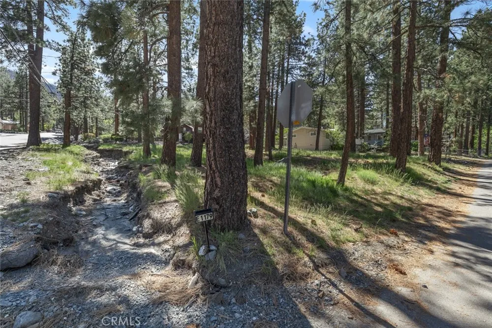 1179 Edna Wrightwood, CA 92397