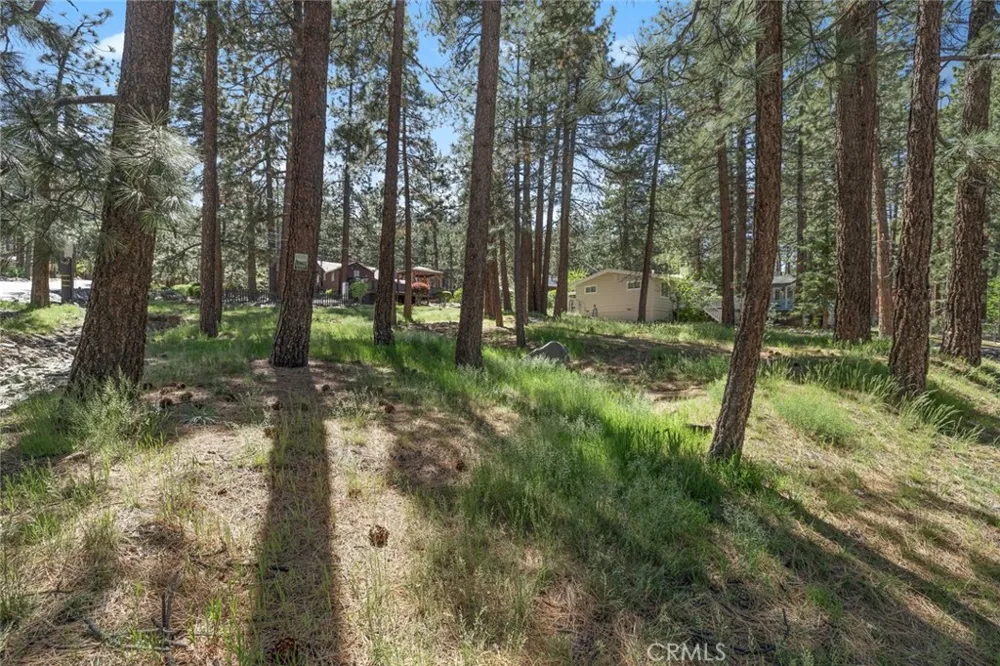 1179 Edna Wrightwood, CA 92397