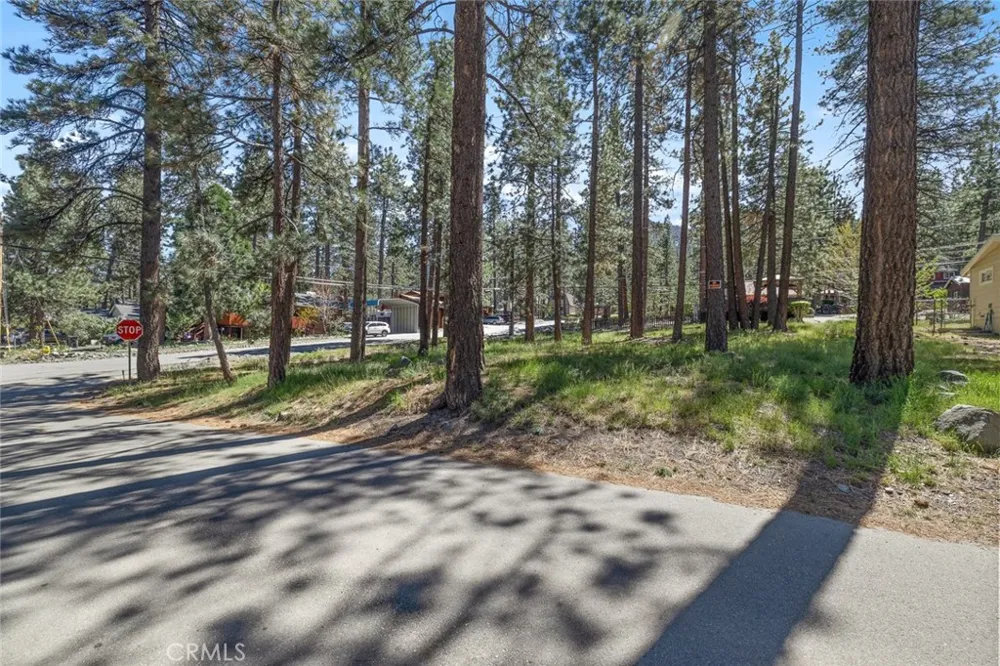 1179 Edna Wrightwood, CA 92397