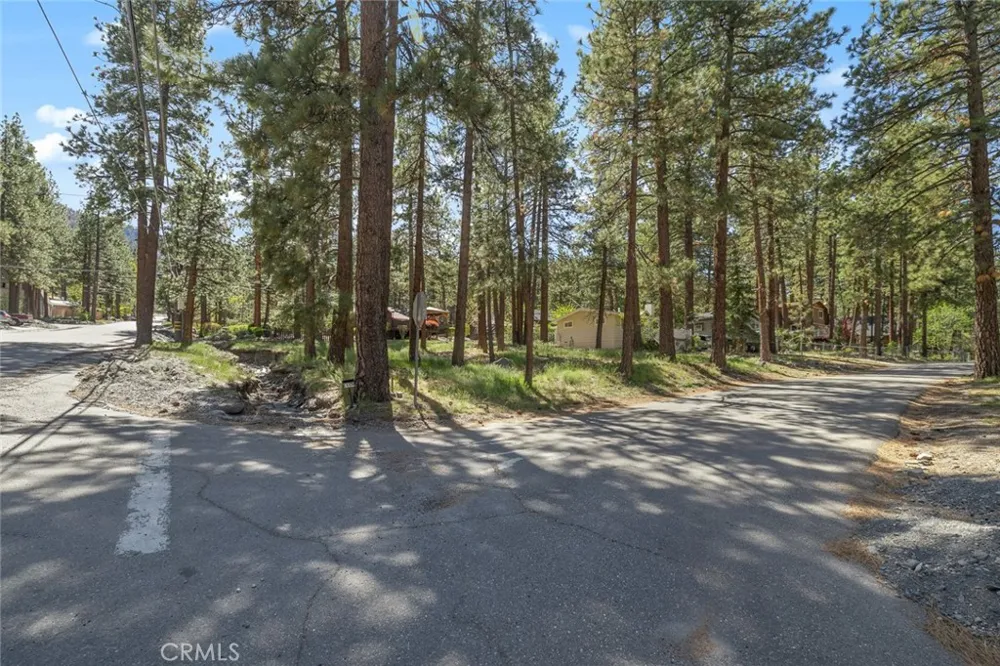 1179 Edna Wrightwood, CA 92397