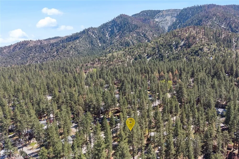 1179 Edna Wrightwood, CA 92397