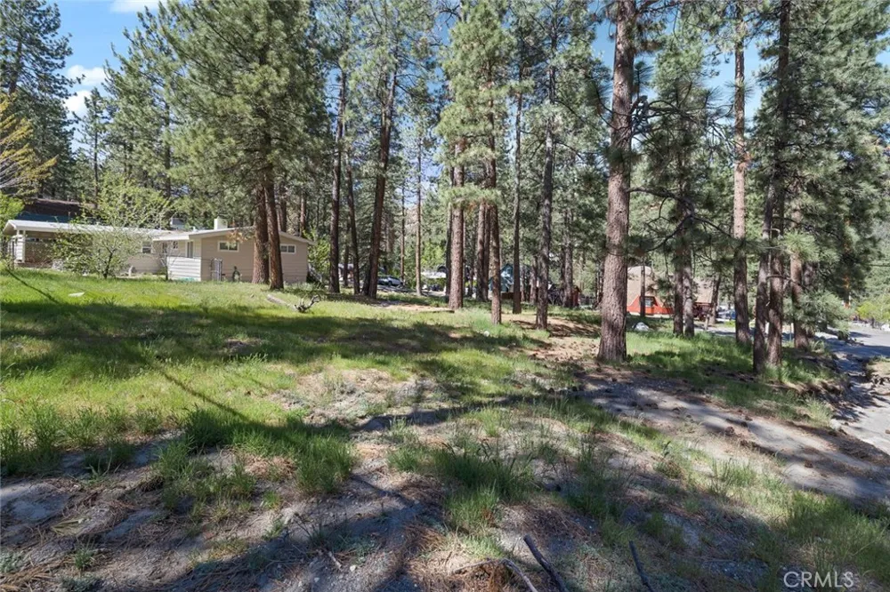1179 Edna Wrightwood, CA 92397