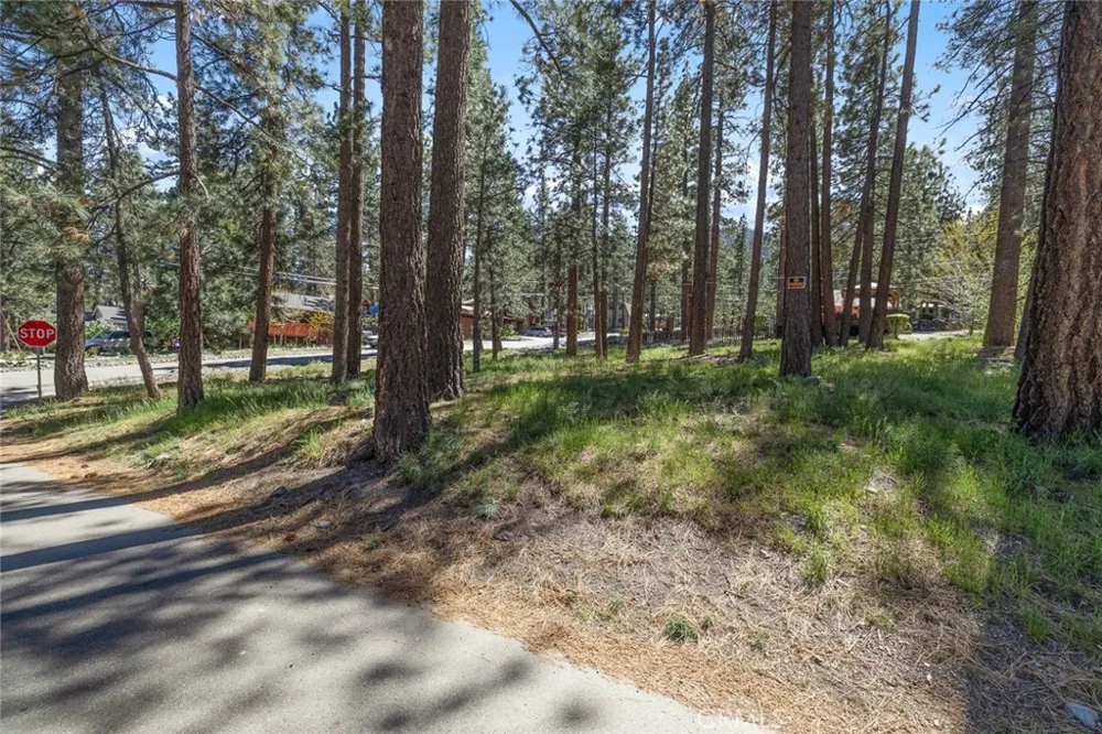 1179 Edna Wrightwood, CA 92397