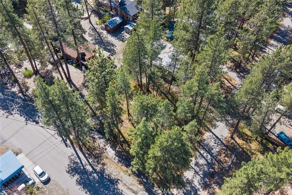 1179 Edna Wrightwood, CA 92397