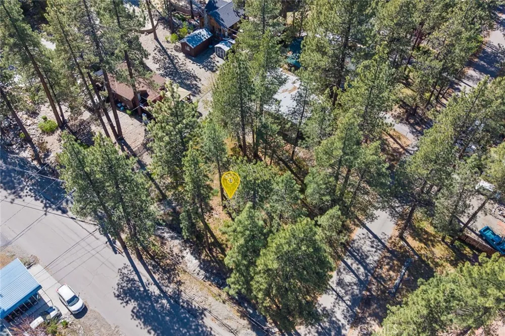 1179 Edna Wrightwood, CA 92397
