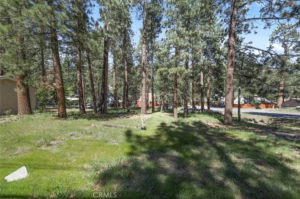 1179 Edna Wrightwood, CA 92397