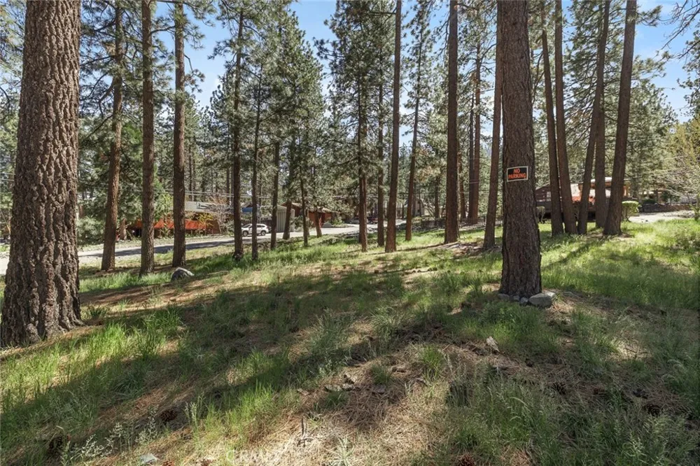 1179 Edna Wrightwood, CA 92397