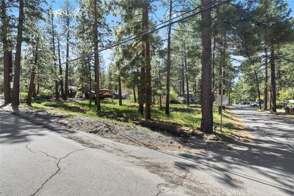 1179 Edna Wrightwood, CA 92397