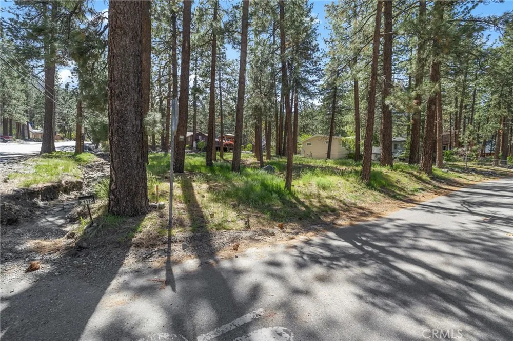 1179 Edna Wrightwood, CA 92397