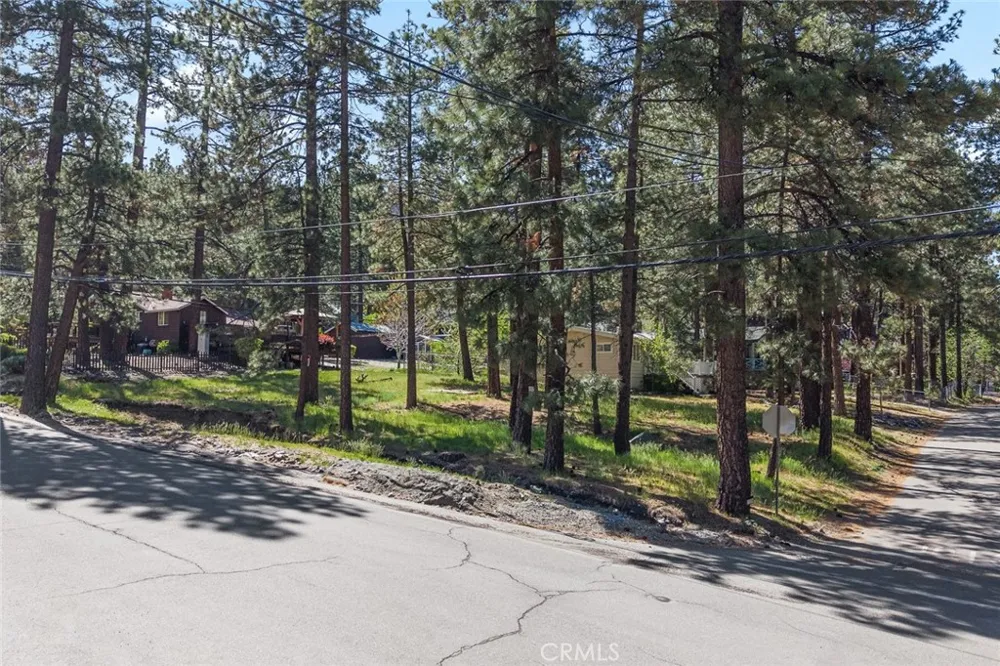 1179 Edna Wrightwood, CA 92397