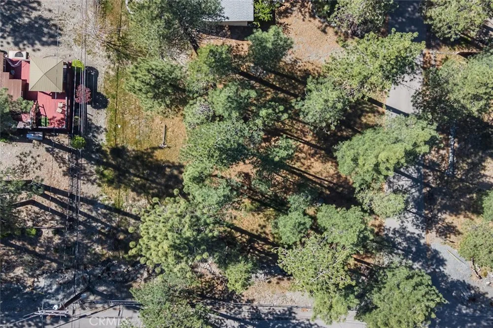 1179 Edna Wrightwood, CA 92397