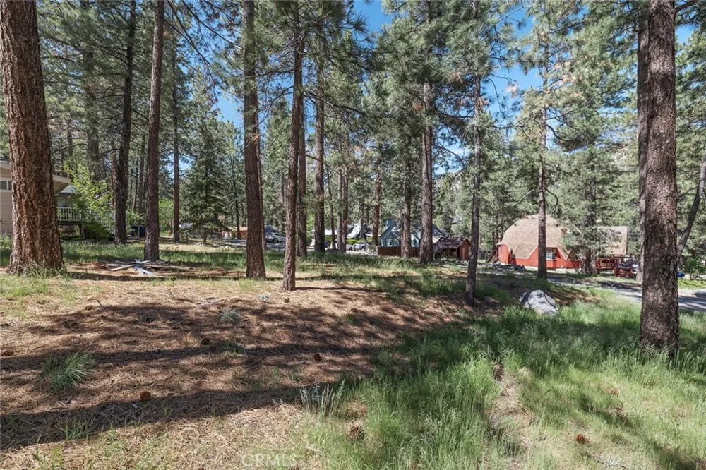 1179 Edna Wrightwood, CA 92397