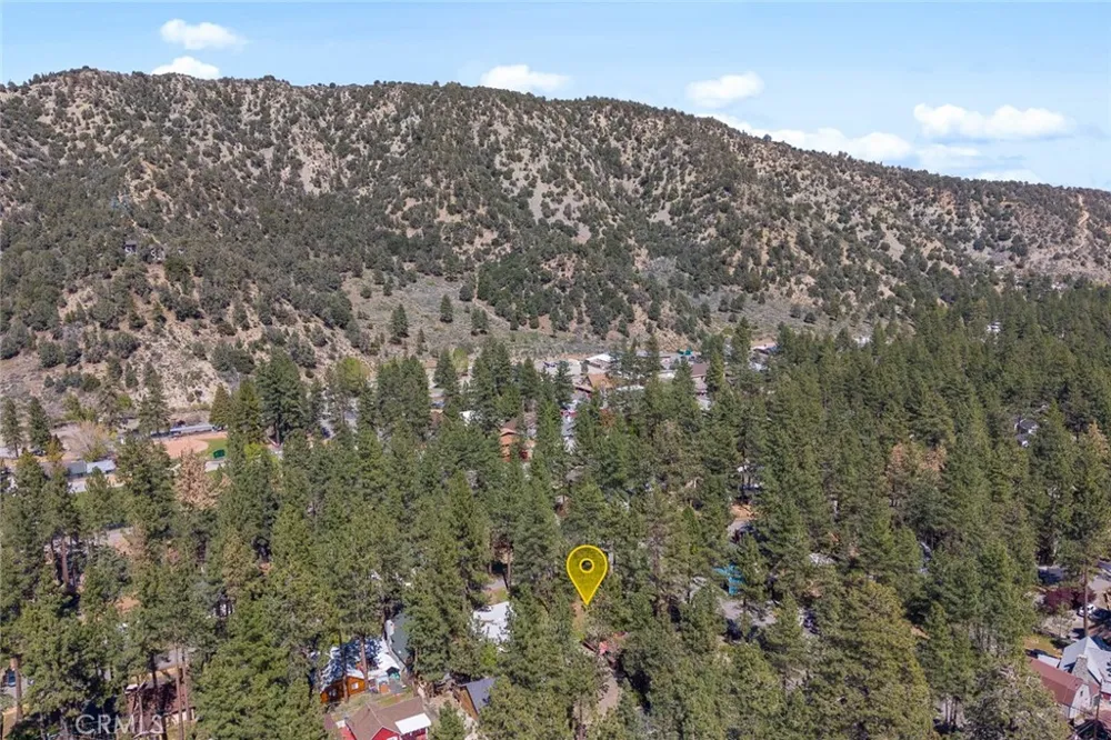 1179 Edna Wrightwood, CA 92397