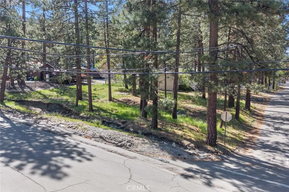 1179 Edna Wrightwood, CA 92397