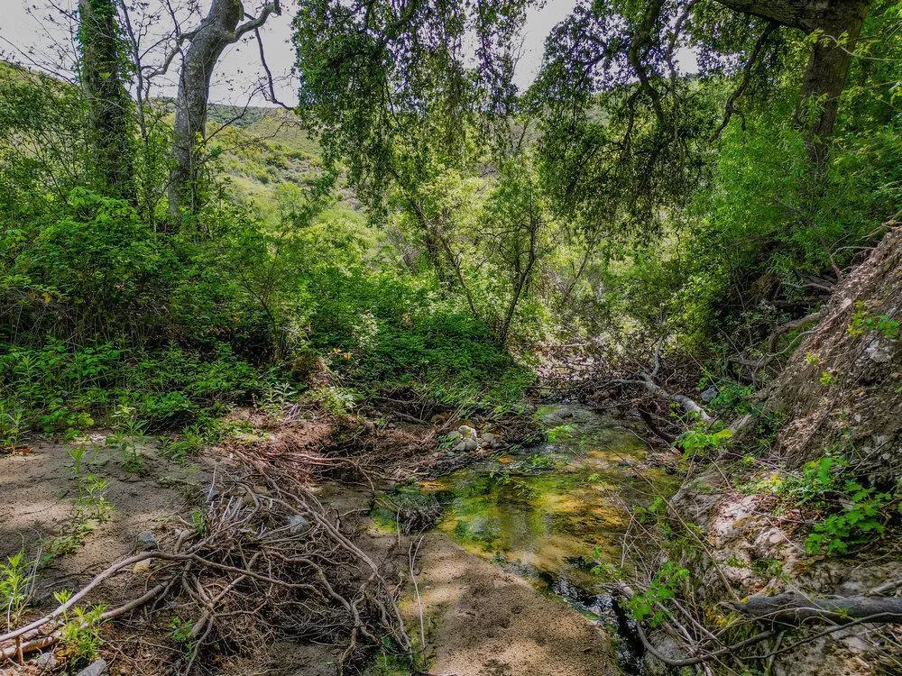 43575 Carmel Valley Road Greenfield, CA 93927