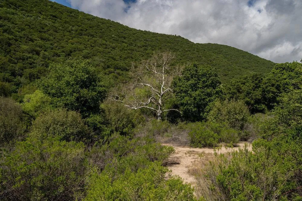 43575 Carmel Valley Road Greenfield, CA 93927