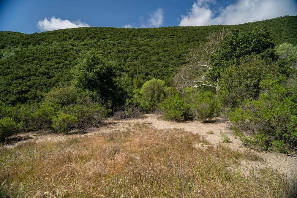 43575 Carmel Valley Road Greenfield, CA 93927
