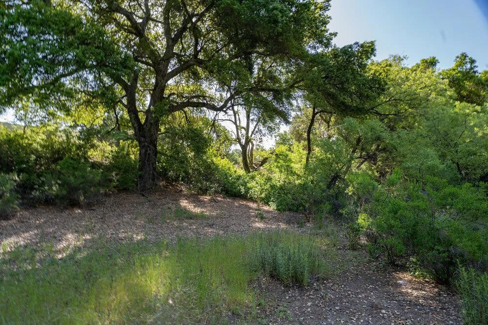 43575 Carmel Valley Road Greenfield, CA 93927