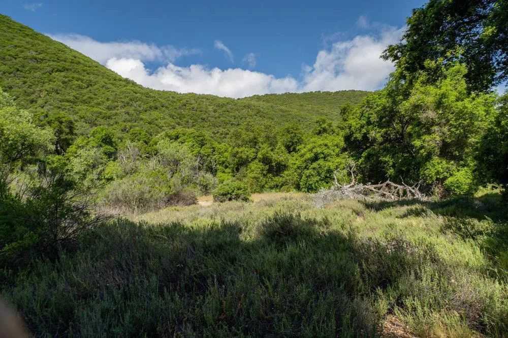 43575 Carmel Valley Road Greenfield, CA 93927