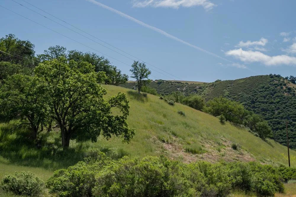 43575 Carmel Valley Road Greenfield, CA 93927