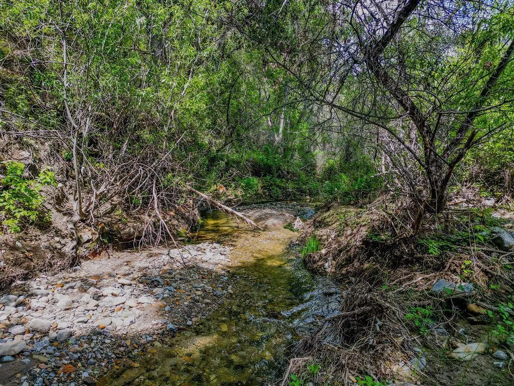 43575 Carmel Valley Road Greenfield, CA 93927