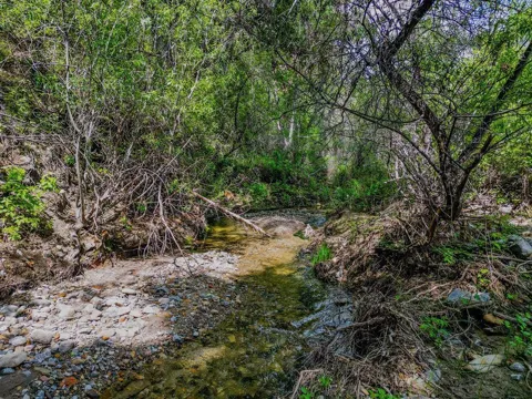 43575 Carmel Valley Road