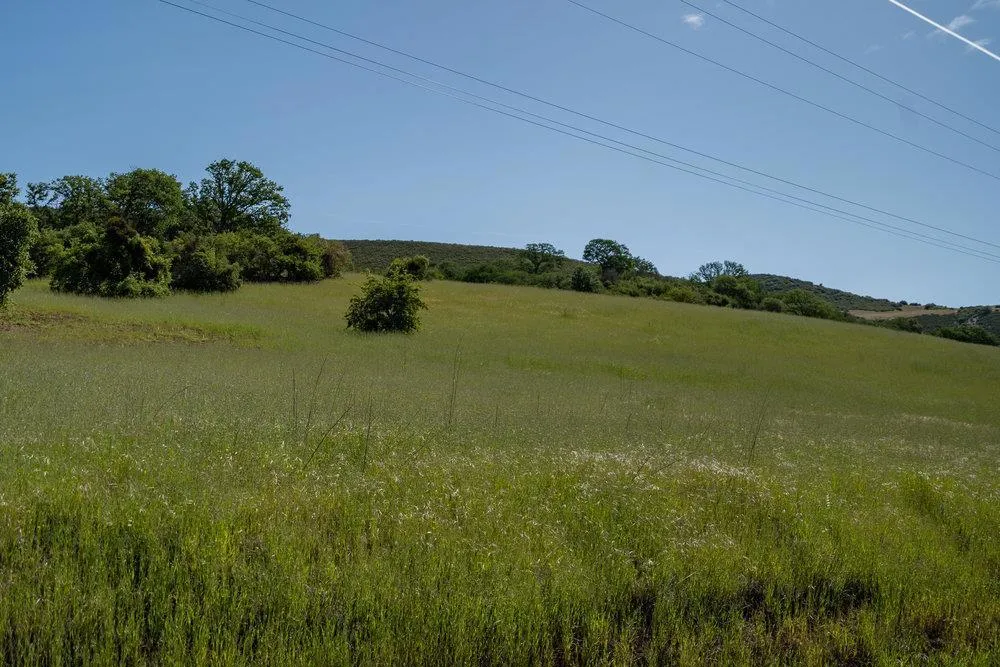 43575 Carmel Valley Road Greenfield, CA 93927