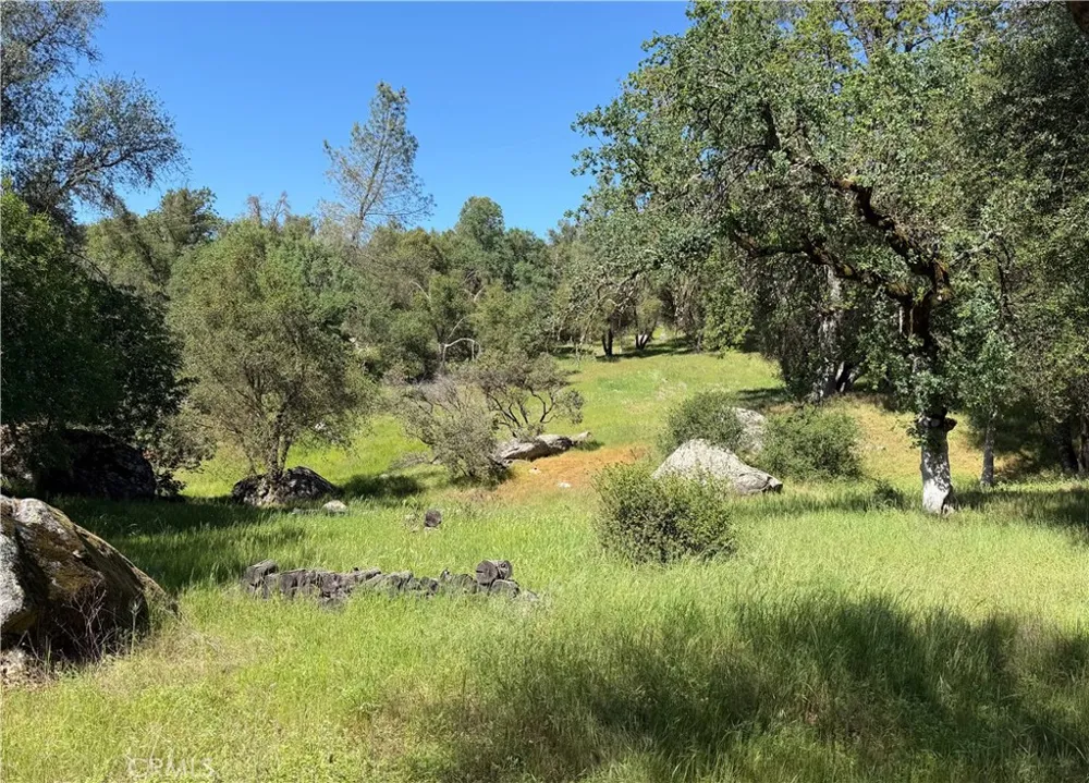 4907 Daffodil Dr Mariposa, CA 95338