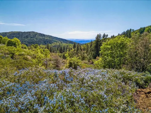 200 Palomar Divide Truck Trail