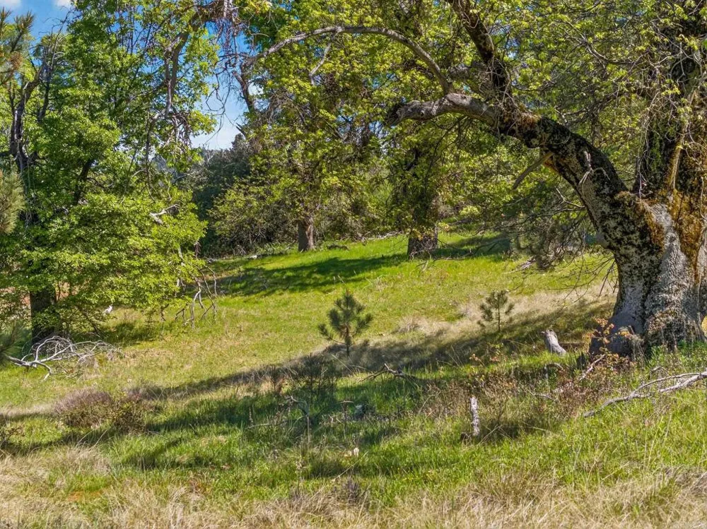 200 Palomar Divide Truck Trail Palomar Mountain, CA 92060