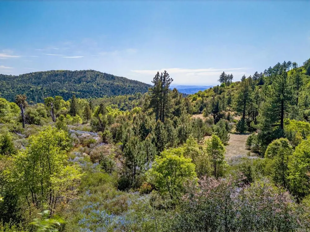 200 Palomar Divide Truck Trail Palomar Mountain, CA 92060
