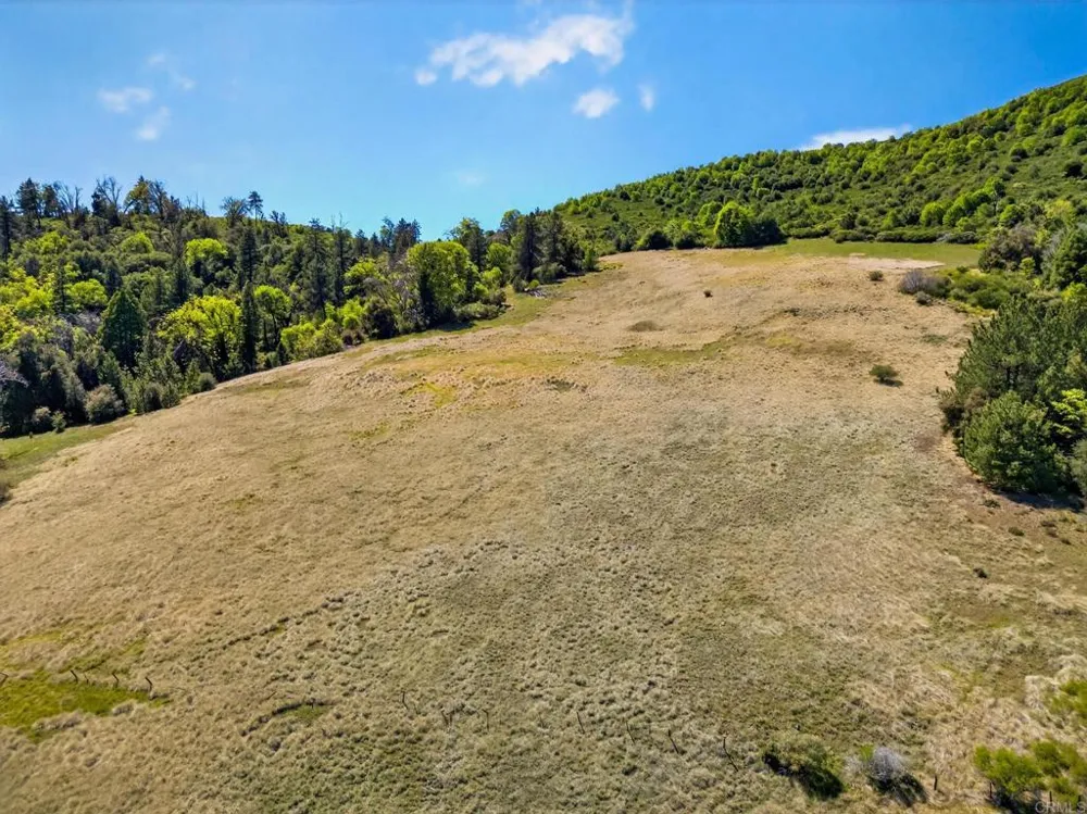 200 Palomar Divide Truck Trail Palomar Mountain, CA 92060