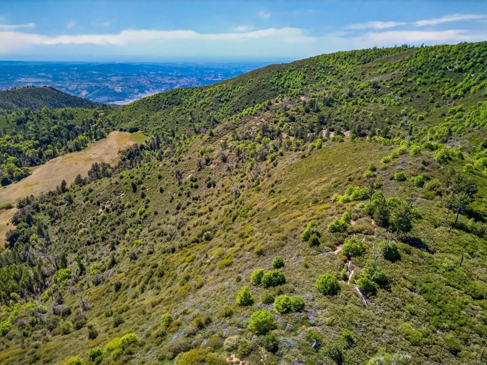 200 Palomar Divide Truck Trail Palomar Mountain, CA 92060