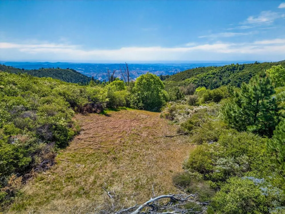 200 Palomar Divide Truck Trail Palomar Mountain, CA 92060