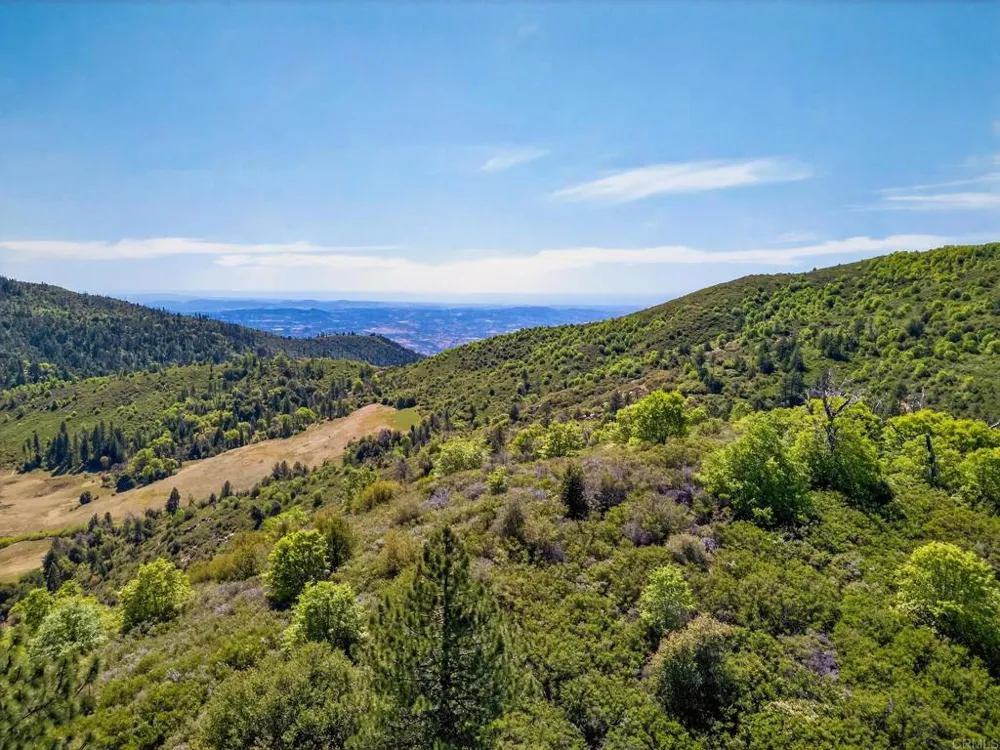 200 Palomar Divide Truck Trail Palomar Mountain, CA 92060