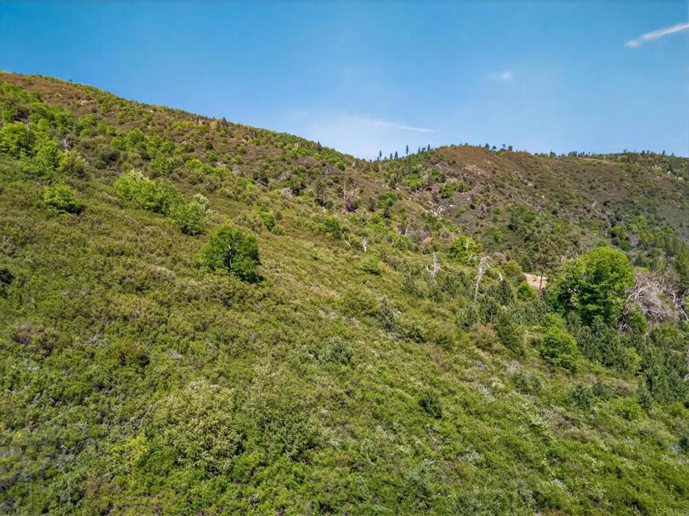 200 Palomar Divide Truck Trail Palomar Mountain, CA 92060